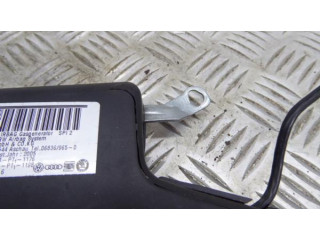 Подушка безопасности в сиденье 1K4, 241 Skoda Octavia Mk2 (1Z)