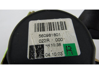 Задний ремень безопасности