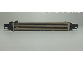 Интеркулер  51877663, X29890016   Fiat Fiorino 