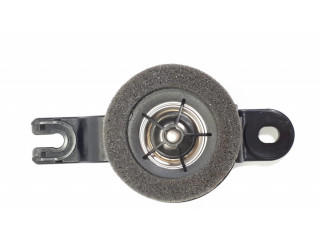 Громкоговоритель (громкоговорители) в задних дверях