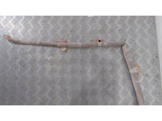 Надувная подушка для крыши    7L5880742E, 7L5880742E   Porsche Cayenne (9PA)