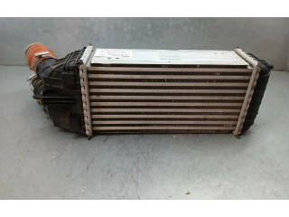 Интеркулер 9803900780, CV448005 Citroen C3 Aircross