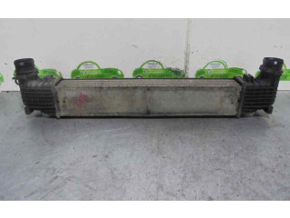 Интеркулер Seat Alhambra (Mk1)