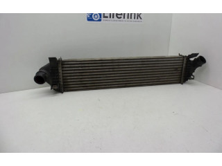 Интеркулер 30741046, 30741046 Volvo V50