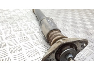 Задний aмортизатор