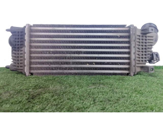 Интеркулер 9683009680, 300X155X80 Citroen C5