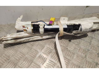 Надувная подушка для крыши       Audi A6 S6 C5 4B  1997 - 2005 года   