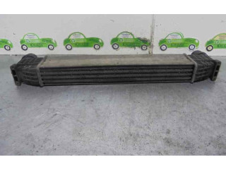 Интеркулер Seat Alhambra (Mk1)