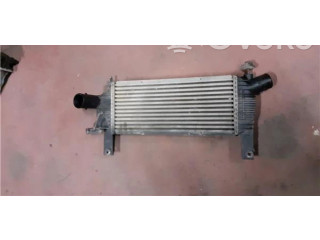 Интеркулер Nissan Pathfinder R51