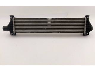 Интеркулер  A511E00312   Borgward BX5 