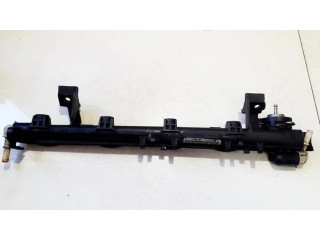 Vstřikovací lišta 5s6g9h487aa, 051706b Ford Fiesta pro benzínový motor 1.4