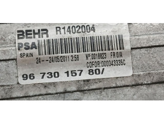 Интеркулер  9673015780, R1402004   Peugeot 5008 