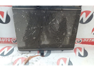 Вентилятор радиатора Citroen Berlingo