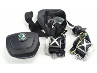 Подушка безопасности водителя 5J0880201 Skoda Fabia Mk2 (5J)