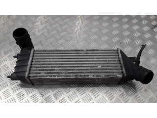 Интеркулер  870229HF   Citroen C8 2.0