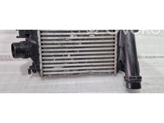 Интеркулер     Renault Dacia Duster 