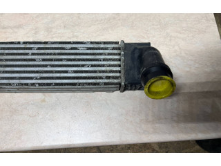 Интеркулер  8200880552, Z990880028   Dacia Duster 