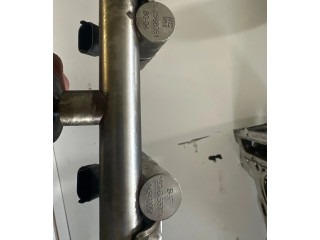 Комплект жиклеров (форсунок) V7568051, 19005371   Peugeot RCZ