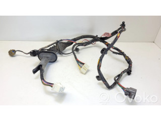 Проводка передних дверей