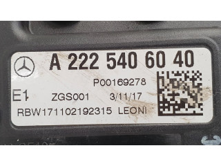 Pojistková skříňka A2225406040, P00169278 Mercede-Benz S W222 2017