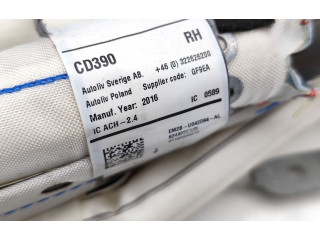 Надувная подушка для крыши EM2B-U042D94-AL   Ford Galaxy    