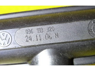 Топливная рампа 036906031AG, 036133320   Skoda Fabia Mk2 (5J)  