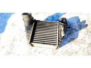 Интеркулер     Volkswagen Golf IV 