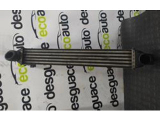 Интеркулер     Citroen C5 