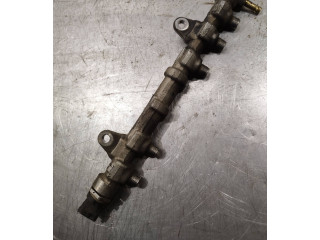 Vstřikovací lišta 0445214239, 55232355 Fiat Punto (199) 199B4000