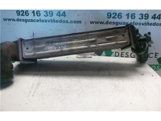 Интеркулер  RHWDW10ATED4   Fiat Ulysse 