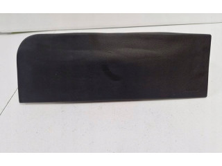 Pojistková skříňka Надувная подушка для пассажира    Lincoln Navigator 2004