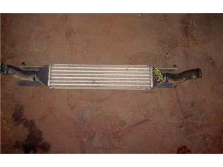 Интеркулер 0051785221 Fiat Linea