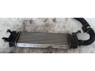 Интеркулер 1359245 Ford Fiesta