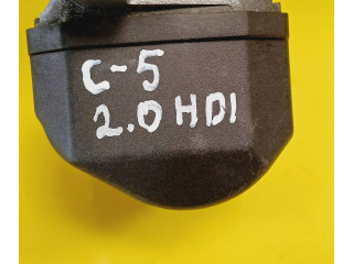 Клапан EGR 28066067, 96B1825280 Citroen C5