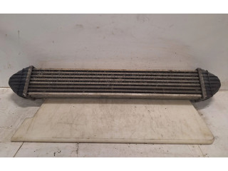 Интеркулер  A1695000000   Mercedes-Benz A W169 