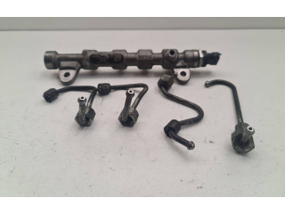 Топливная рампа 55234039, 324089 Fiat Freemont для двигателя 939B5000