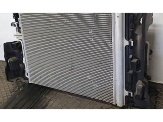 Комплект радиатора 30672559, 0130303991 Volvo S80