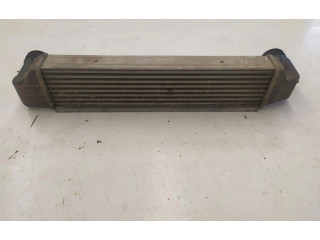 Интеркулер     BMW X3 E83 