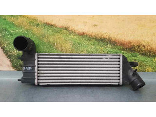 Интеркулер Citroen C8