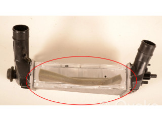 Интеркулер H1BG6K775AC Ford Ecosport 1.0