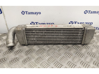 Радиатор интеркулера 279714600102 Tata Indigo I