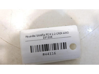 Vstřikovací čerpadlo Hyundai Santa Fe pro naftový motor 2.2 D4EB