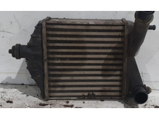 Интеркулер     Fiat Punto (188) 
