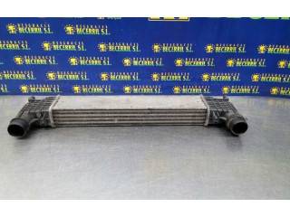 Интеркулер Seat Alhambra (Mk1)