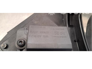 Комплект вентиляторов 9832930080 Peugeot Partner III