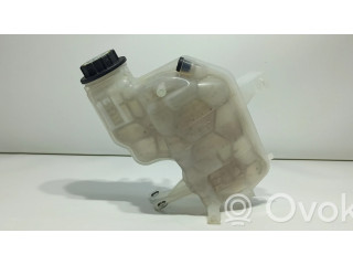 Расширительный бачок охлаждающей жидкости    