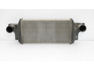 Интеркулер     Mercedes-Benz ML W164 