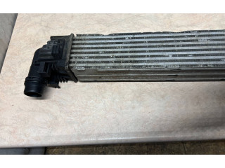 Интеркулер  8200880552, Z990880028   Dacia Duster 