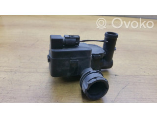 Клапан (клапаны) нагревательного радиатора (яйца)