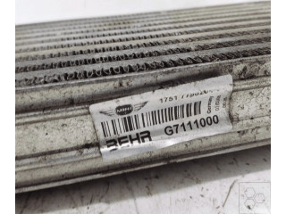 Радиатор интеркулера     17517798204, BEHR    Mini One - Cooper R50 - 53 